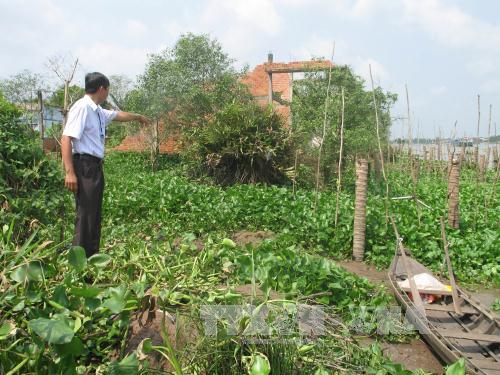 Sạt lở nghiêm trọng ở cù lao Tân Phong (Tiền Giang) ảnh 1